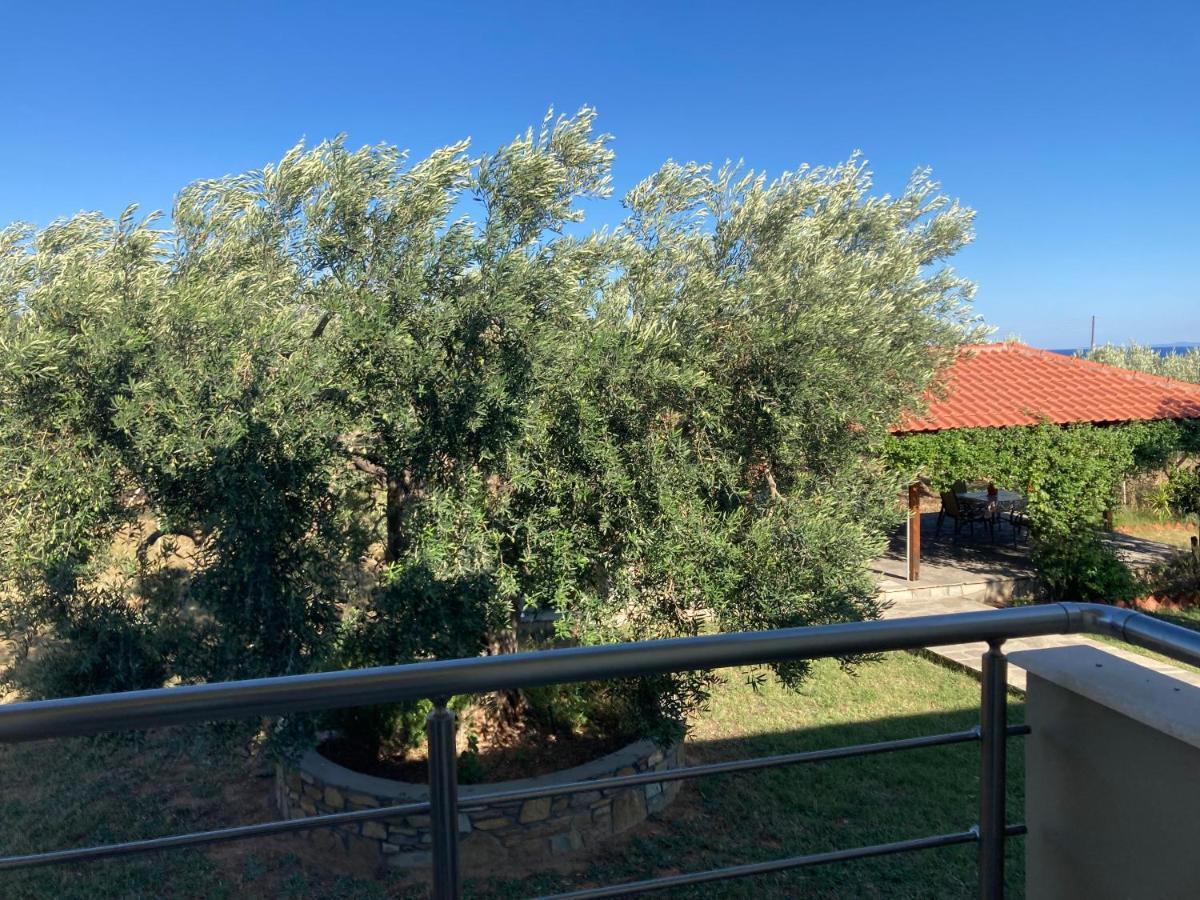 Villa Giannoula Gerakini Exterior foto